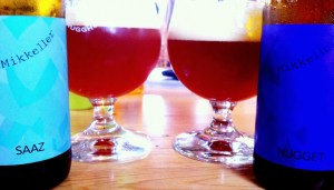 Saaz á móti Nugget