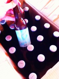 20 spriklandi humlar í kassa